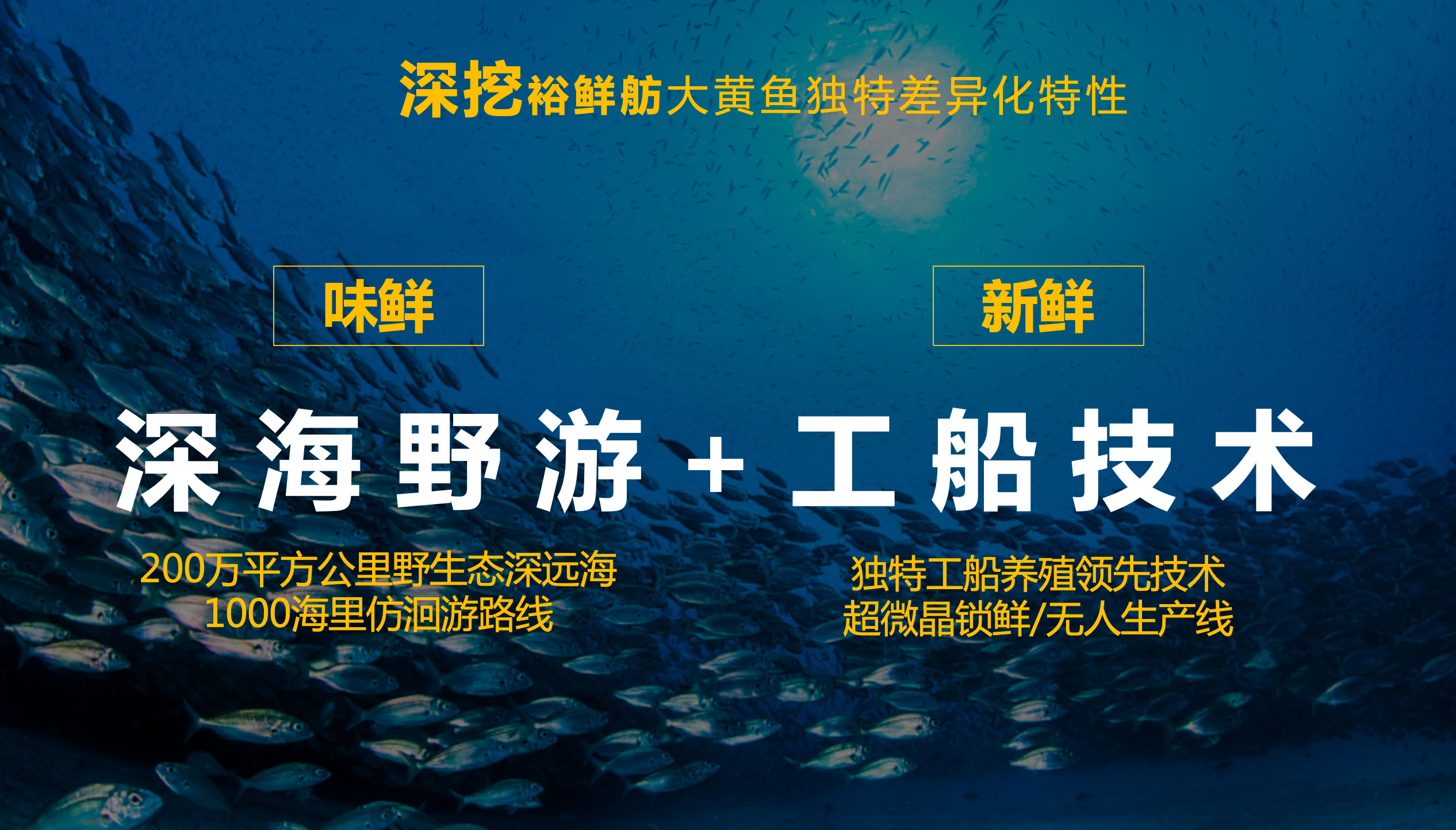 WX20241225-105745@2x.jpg WX20241225-105745@2x.jpg