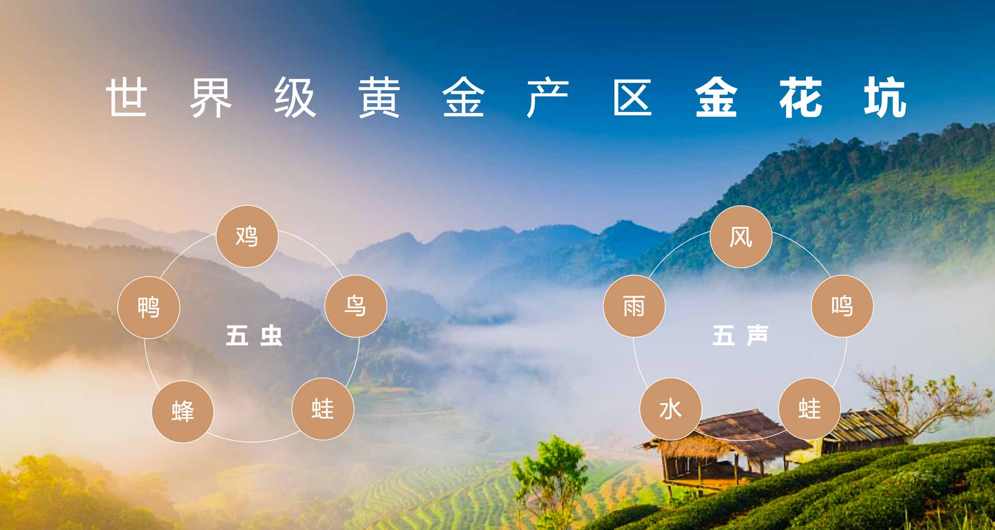 WX20251110-170110@2x.jpg WX20251110-170110@2x.jpg