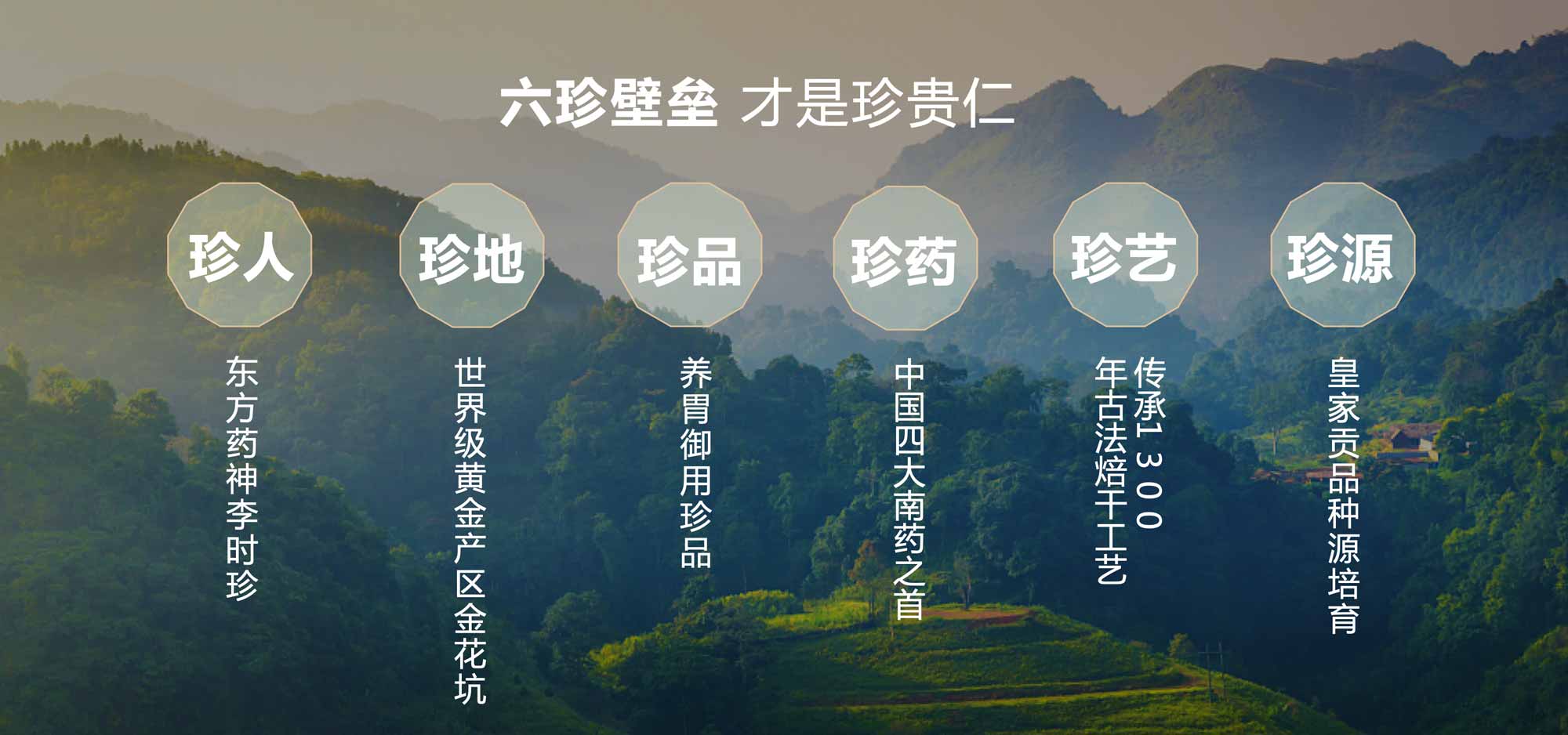 WX20251110-170029@2x.jpg WX20251110-170029@2x.jpg