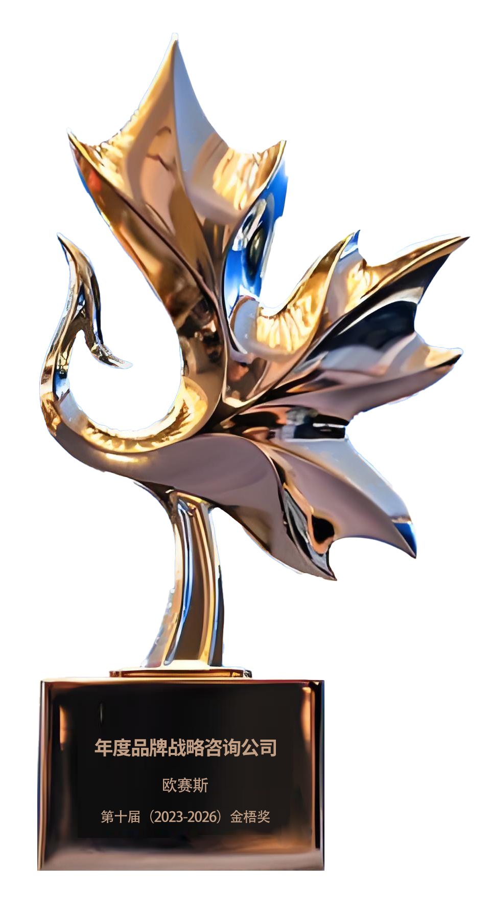2024年榮獲第十屆金梧獎年度品牌戰(zhàn)略咨詢公司